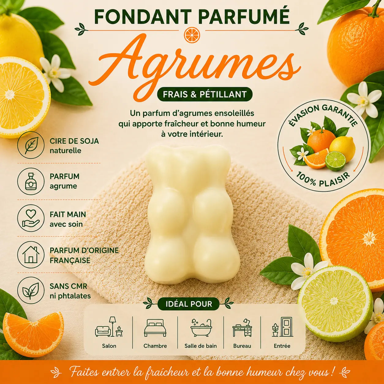 Fondants Parfumés Agrumes à la Cire de Soja La Casa Del José