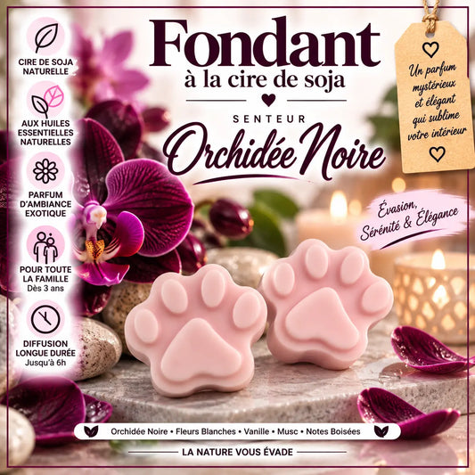 Fondants Parfumés Orchidée Noire à la Cire de Soja La Casa Del José