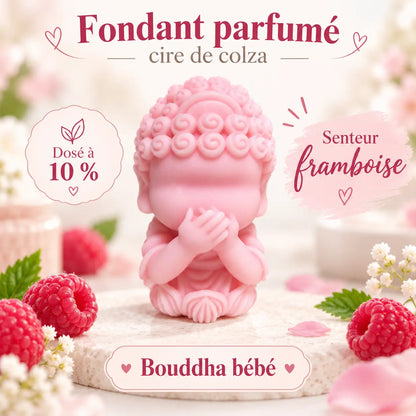 Fondants Parfumés Framboise à la Cire de Soja La Casa Del José
