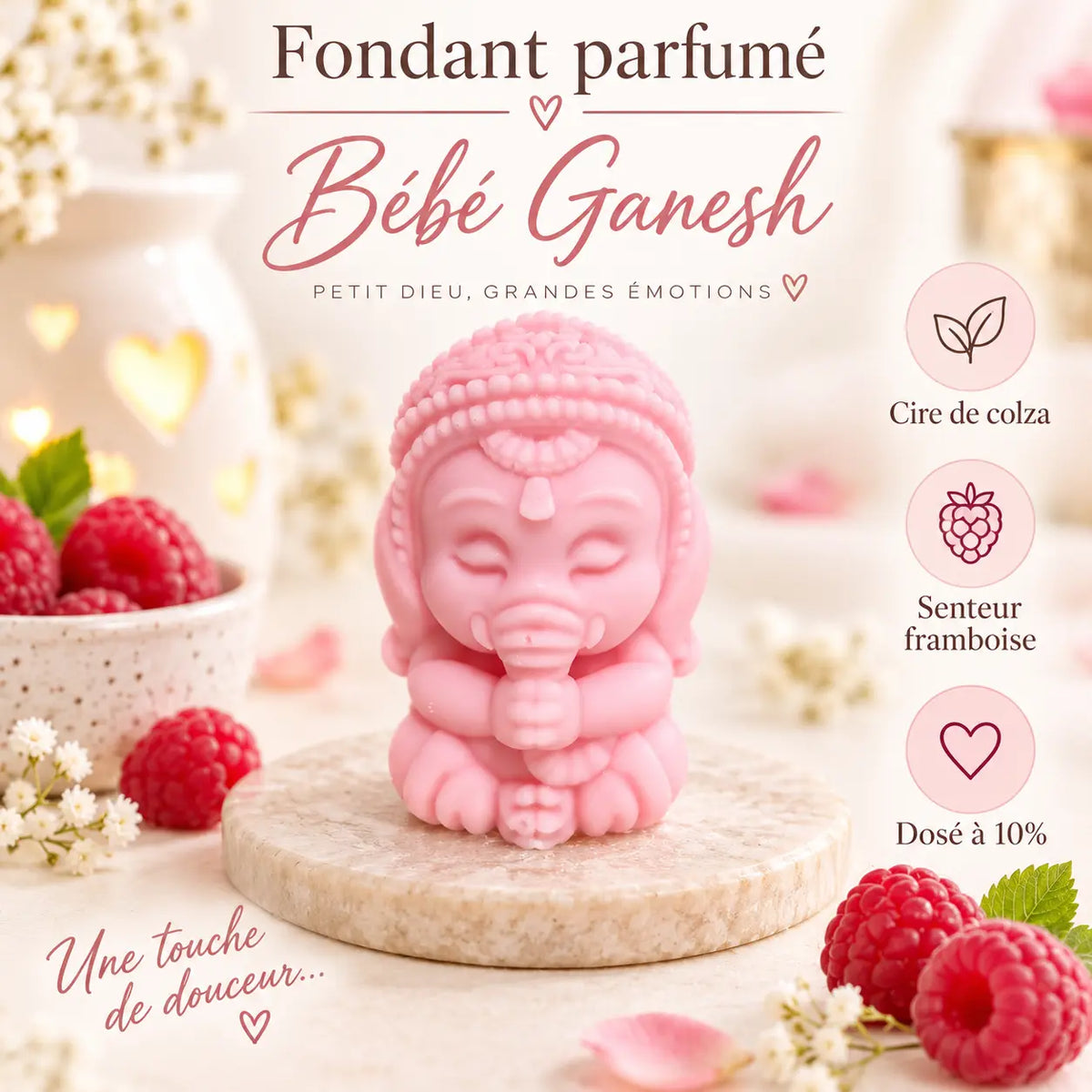 Fondants Parfumés Framboise à la Cire de Soja La Casa Del José