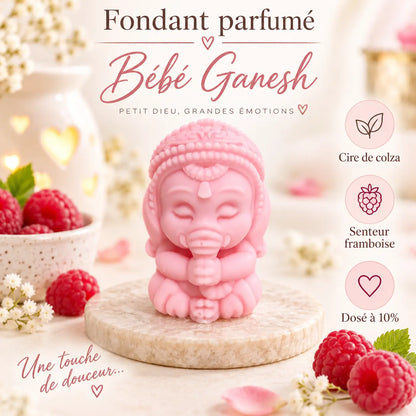 Fondants Parfumés Framboise à la Cire de Soja La Casa Del José