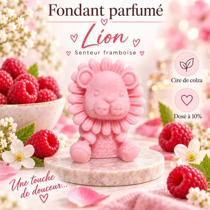 Fondants Parfumés Framboise à la Cire de Soja La Casa Del José