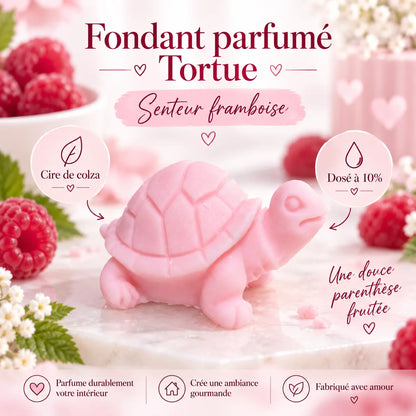 Fondants Parfumés Framboise à la Cire de Soja La Casa Del José