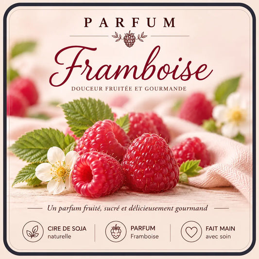 Fondants Parfumés Framboise à la Cire de Soja La Casa Del José
