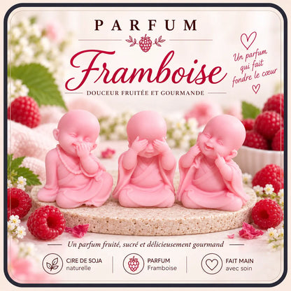 Fondants Parfumés Framboise à la Cire de Soja La Casa Del José