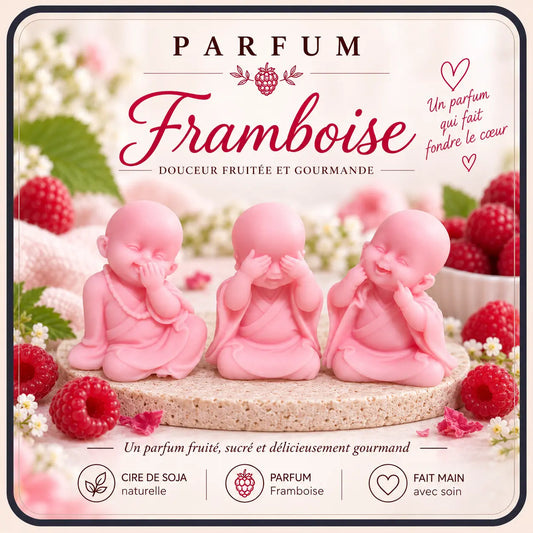 Fondants Parfumés Framboise à la Cire de Soja La Casa Del José