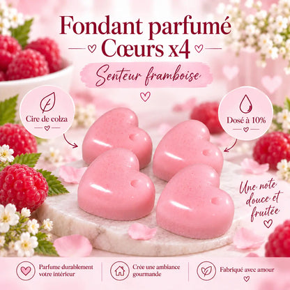 Fondants Parfumés Framboise à la Cire de Soja La Casa Del José