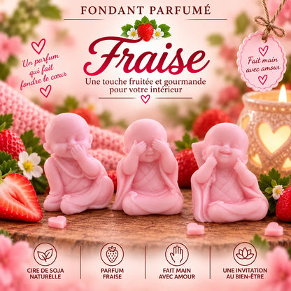 Fondants Parfumés Fraise à la Cire de Soja La Casa Del José