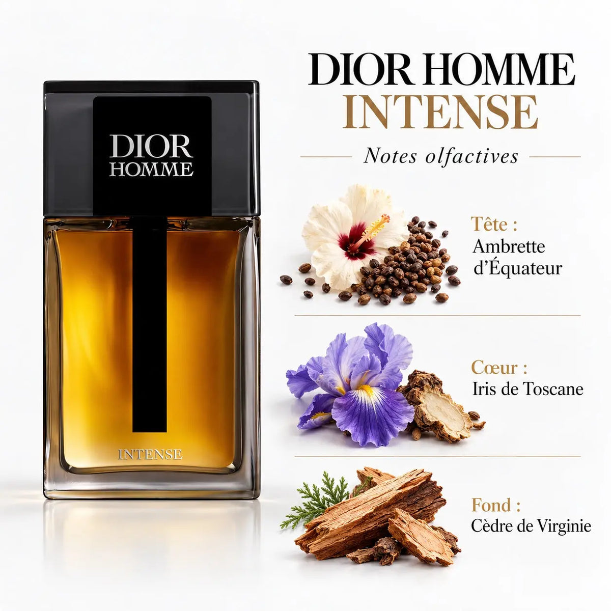 Dior Homme Intense Eau de Parfum Homme 100 ml, flacon Dior Homme, parfum boisé et poudré aux notes d'iris, d'ambrette et de cèdre