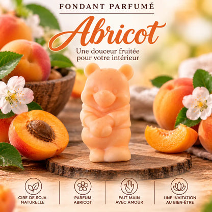 Fondants parfumés Abricot en cire de soja  winny artisanaux