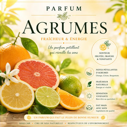 Fondants Parfumés Agrumes à la Cire de Soja La Casa Del José