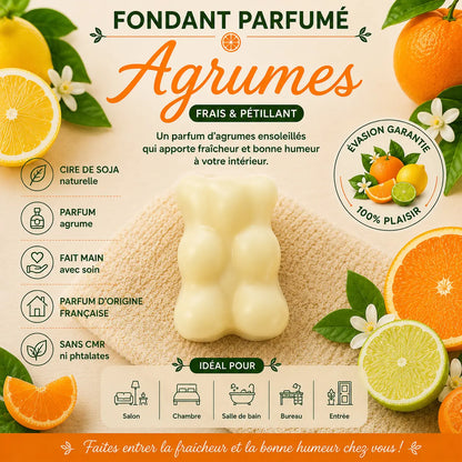 Fondants Parfumés Agrumes à la Cire de Soja La Casa Del José