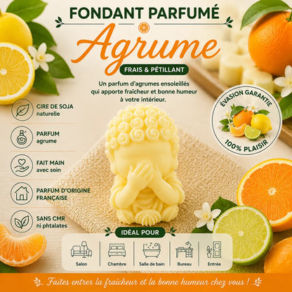 Fondants Parfumés Agrumes à la Cire de Soja La Casa Del José