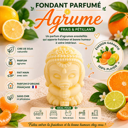Fondants Parfumés Agrumes à la Cire de Soja La Casa Del José