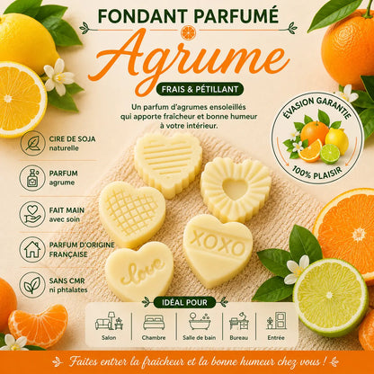 Fondants Parfumés Agrumes à la Cire de Soja La Casa Del José