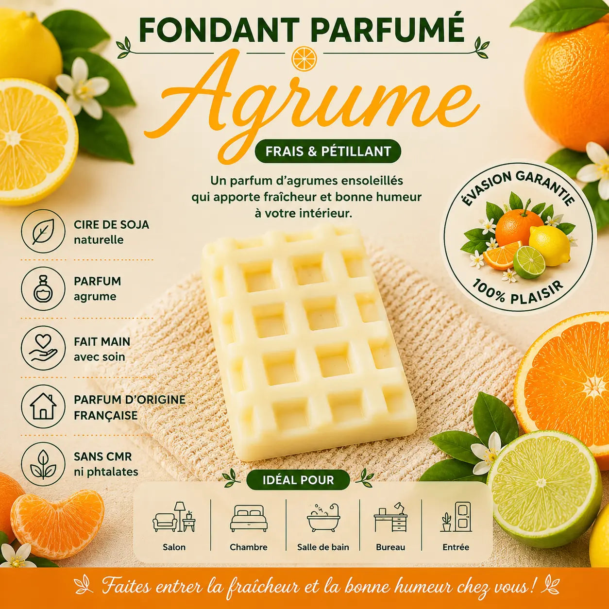 Fondants Parfumés Agrumes à la Cire de Soja La Casa Del José