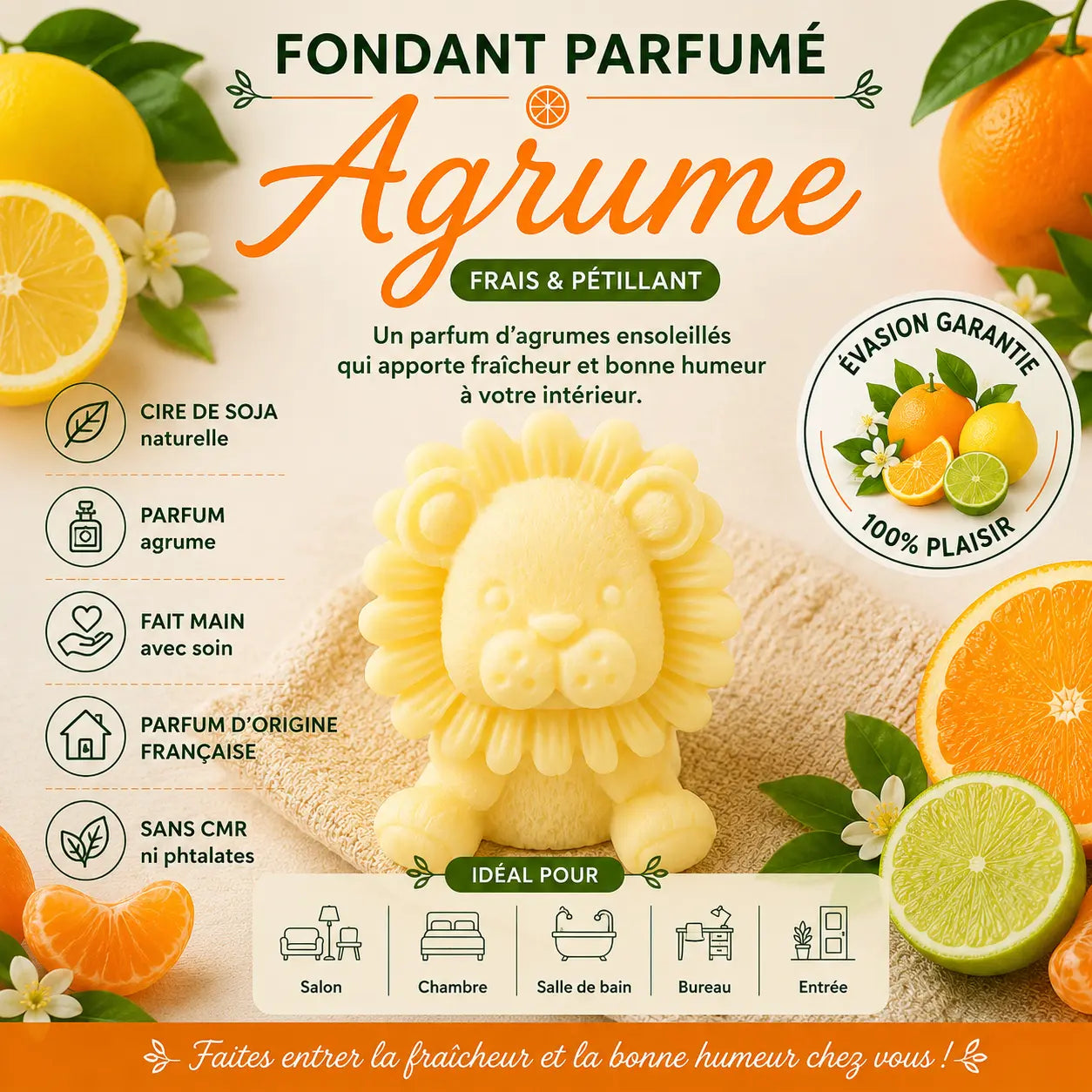 Fondants Parfumés Agrumes à la Cire de Soja La Casa Del José