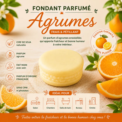 Fondants Parfumés Agrumes à la Cire de Soja La Casa Del José
