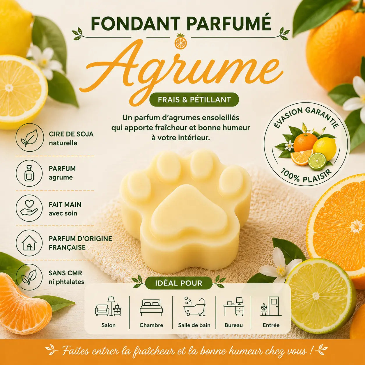 Fondants Parfumés Agrumes à la Cire de Soja La Casa Del José