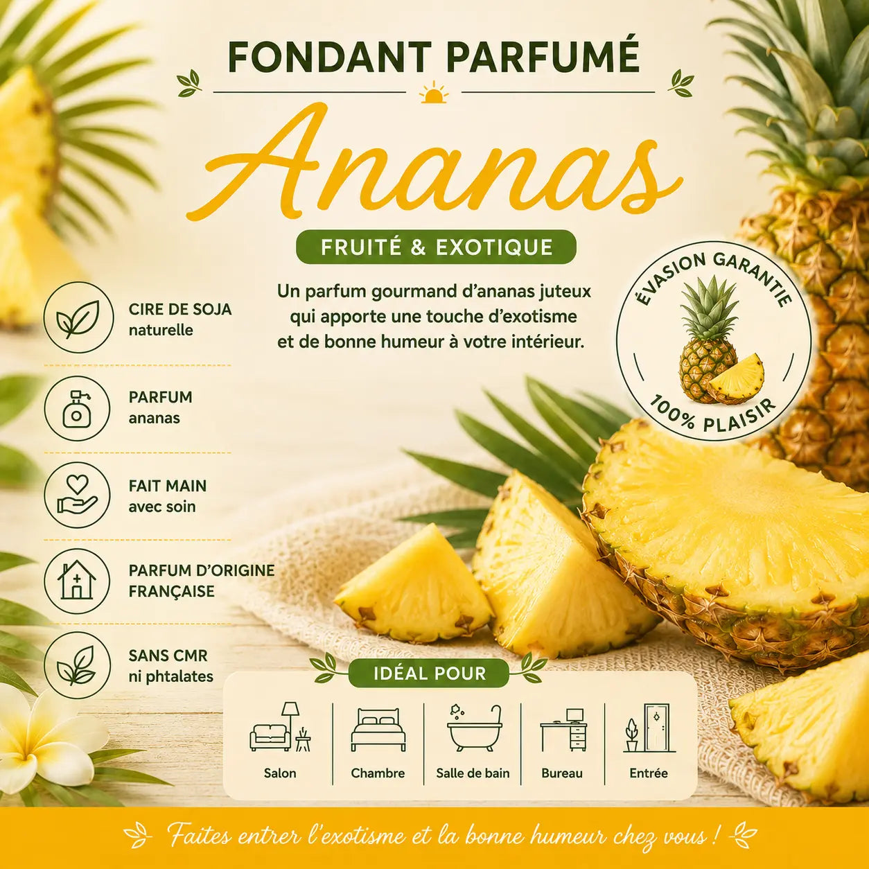 Fondants Parfumés Ananas Cire de Soja La Casa Del José
