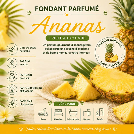 Fondants Parfumés Ananas Cire de Soja La Casa Del José