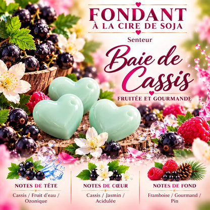 Fondant parfumé Baie de Cassis en cire de soja – senteur fruitée et gourmande aux notes de cassis, jasmin et framboise – La Casa del José