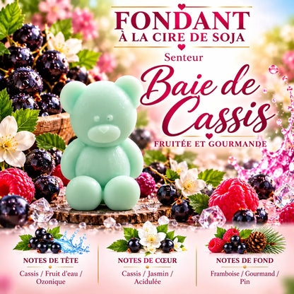 Fondant parfumé Baie de Cassis en cire de soja – senteur fruitée et gourmande aux notes de cassis, jasmin et framboise – La Casa del José