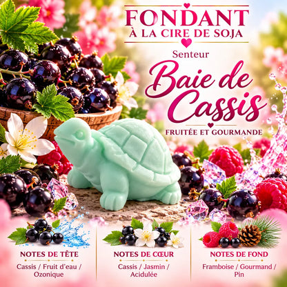 Fondant parfumé Baie de Cassis en cire de soja – senteur fruitée et gourmande aux notes de cassis, jasmin et framboise – La Casa del José