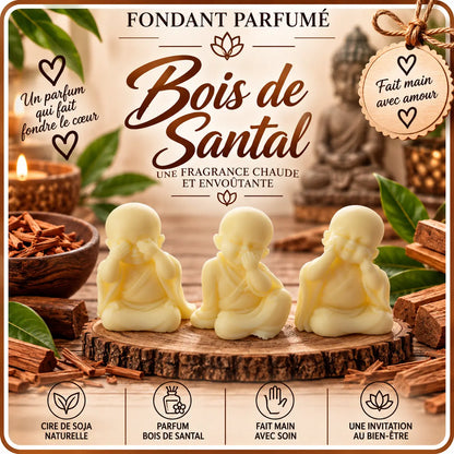 Fondants parfumés Bois de Santal en cire de soja artisanaux plusieurs modèles