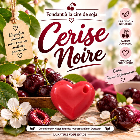 Fondants Parfumés Cerise Noire à la Cire de Soja La Casa Del José