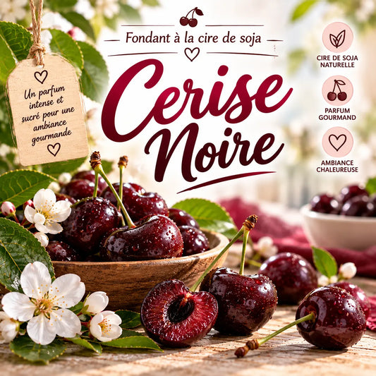 Fondants parfumés Cerise Noire en cire de soja artisanaux plusieurs modèles