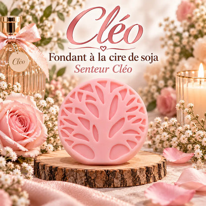 Fondants parfumés Cléo en cire de soja artisanaux plusieurs modèles