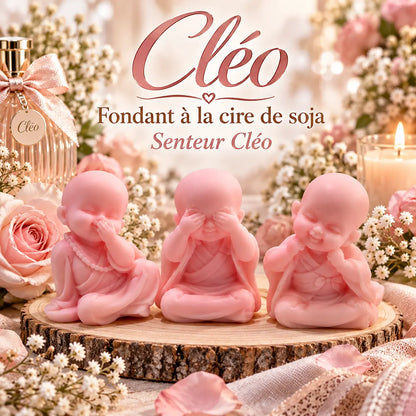 Fondants parfumés Cléo en cire de soja artisanaux plusieurs modèles