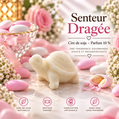 Fondant parfumé Dragée – Cire de soja | Senteur gourmande La Casa Del José