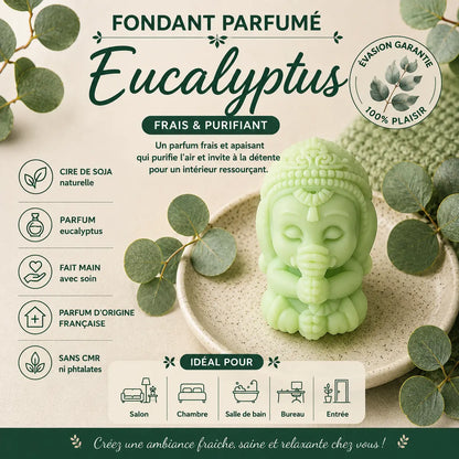 Fondants parfumés Eucalyptus à la cire de soja