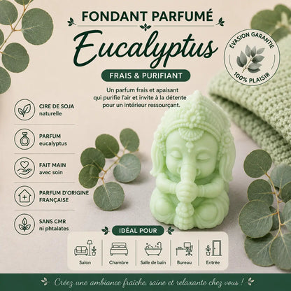 Fondants parfumés Eucalyptus à la cire de soja