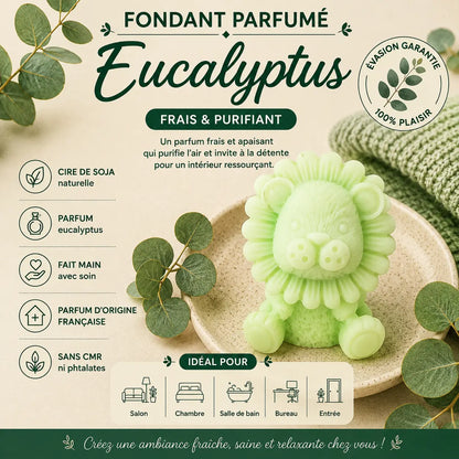 Fondants parfumés Eucalyptus à la cire de soja