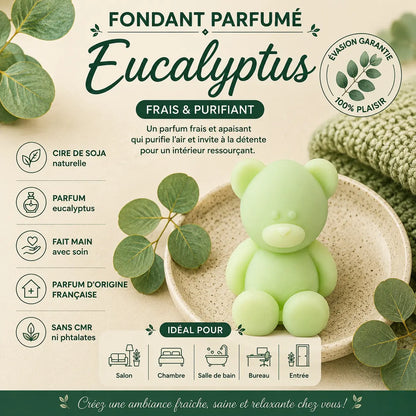 Fondants parfumés Eucalyptus à la cire de soja