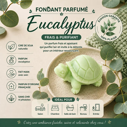 Fondants parfumés Eucalyptus à la cire de soja
