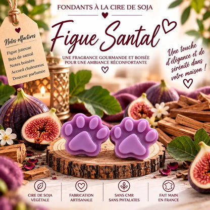 Fondants Parfumés Figue & Santal à la Cire de Soja La Casa Del José