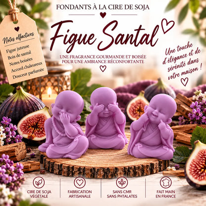 Fondants Parfumés Figue & Santal à la Cire de Soja La Casa Del José