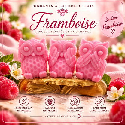 Fondants Parfumés Framboise à la Cire de Soja La Casa Del José