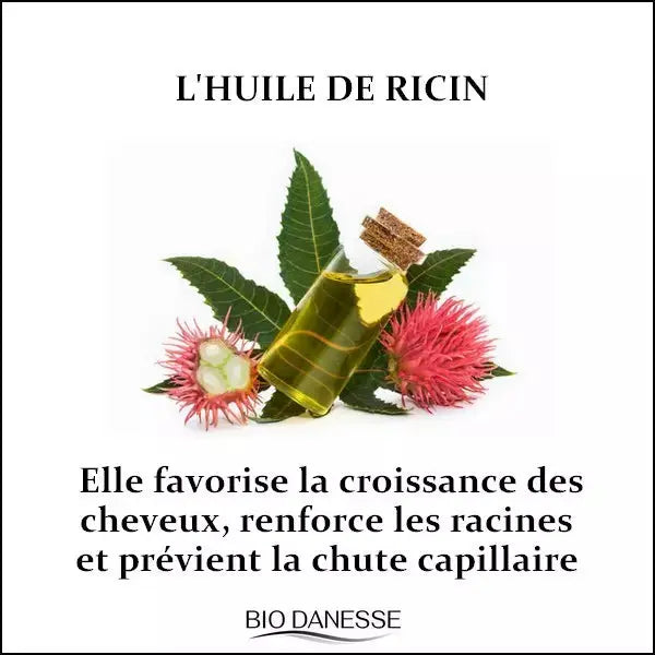 Shampooing au lait d'ânesse bio bio danesse