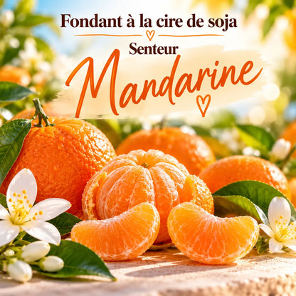 Fondant parfumé Mandarine en cire de soja – senteur fruitée fraîche et pétillante aux agrumes – La Casa del José