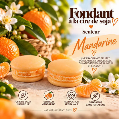 Fondant parfumé Mandarine en cire de soja – senteur fruitée fraîche et pétillante aux agrumes – La Casa del José