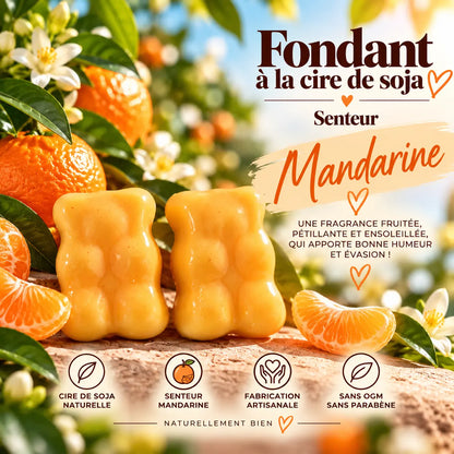 Fondant parfumé Mandarine en cire de soja – senteur fruitée fraîche et pétillante aux agrumes – La Casa del José