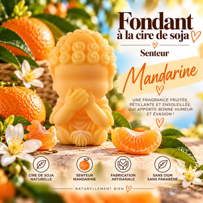 Fondant parfumé Mandarine en cire de soja – senteur fruitée fraîche et pétillante aux agrumes – La Casa del José