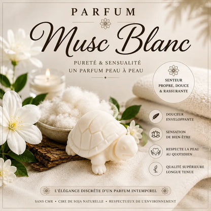 Fondants parfumés Musc Blanc à la cire de soja