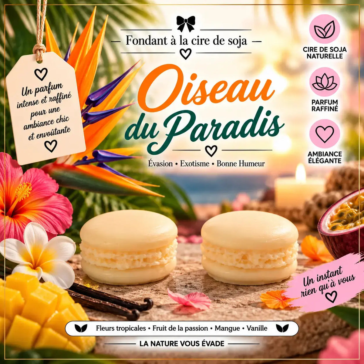 Fondants Parfumés Oiseau du Paradis à la Cire de Soja La Casa Del José