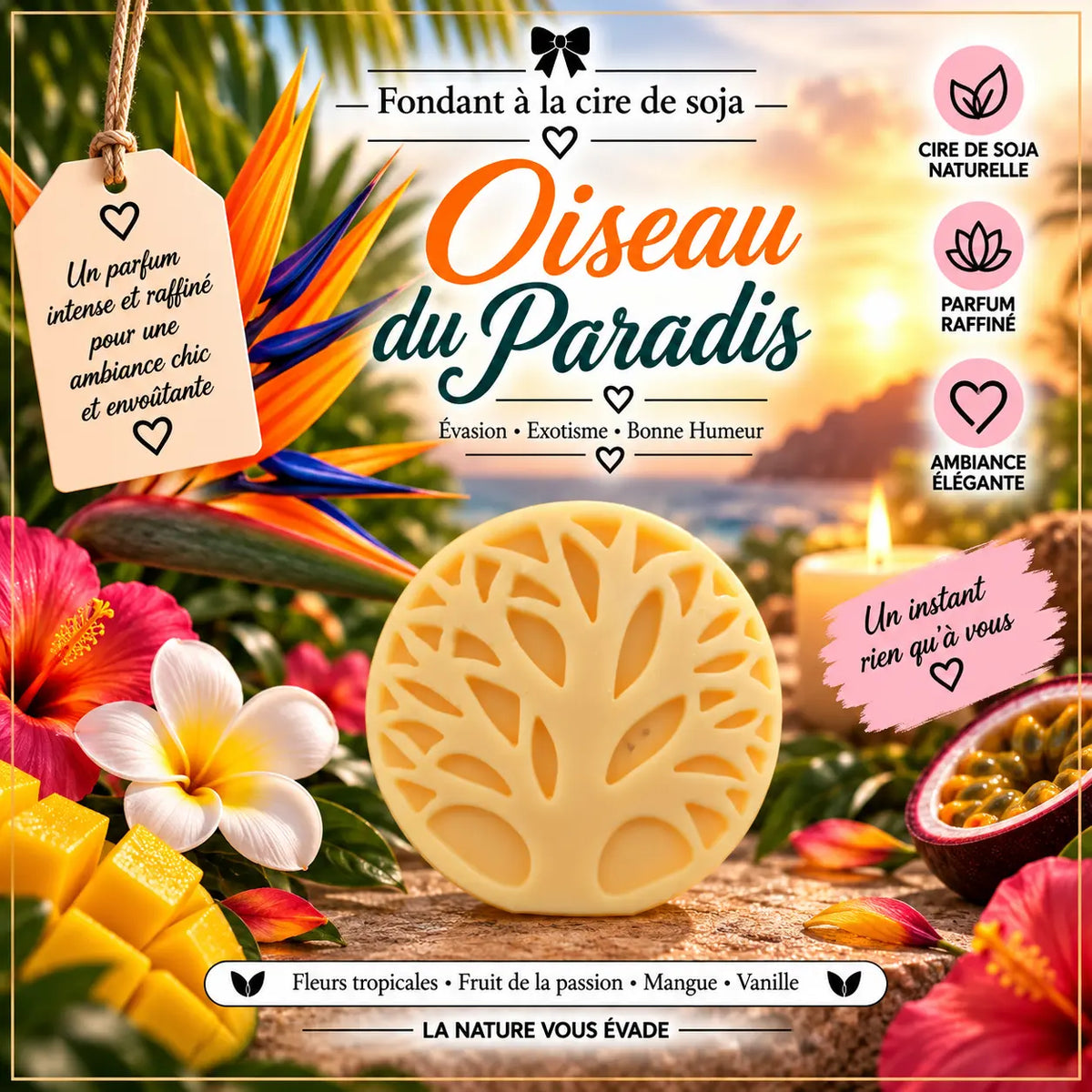 Fondants Parfumés Oiseau du Paradis à la Cire de Soja La Casa Del José